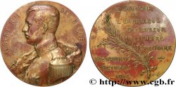 BELGIUM - KINGDOM OF BELGIUM - ALBERT I Médaille, En souvenir du défenseur de notre territoire