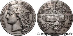 III REPUBLIC Médaille, Épidémies VF/XF