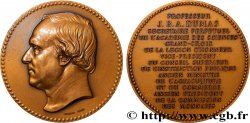 SCIENCES & SCIENTIFIQUES Médaille, Jean-Baptiste Dumas