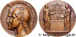 PROVISORY GOVERNEMENT OF THE FRENCH REPUBLIC Médaille, Conseil de la République AU
