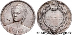 III REPUBLIC Médaille, Sénat, Chef de division AU