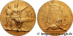 III REPUBLIC Médaille PRO PATRIA - Préparation militaire AU