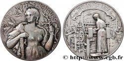 TERCERA REPUBLICA FRANCESA Médaille, Mutualité des peigneurs MBC+