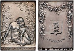 III REPUBLIC Médaille, L’amour console l’humanité AU/AU