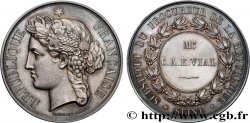 III REPUBLIC Médaille, Substitut du procureur de la République AU