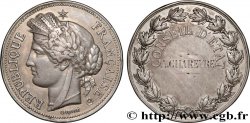 TROISIÈME RÉPUBLIQUE Médaille, Conseil d’État
