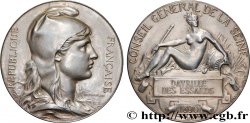 III REPUBLIC Médaille, Conseil général de la Seine AU