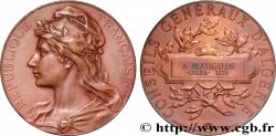 III REPUBLIC Médaille, Conseils généraux d’Algérie AU