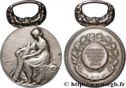 INSURANCES Médaille, Fédération des sociétés de secours mutuels de la Somme