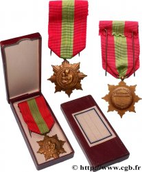 TROISIÈME RÉPUBLIQUE Médaille, Famille Française, Ministère de la santé publique et de la population