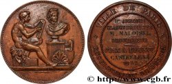 III REPUBLIC Médaille de récompense, enseignement du dessin