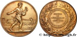 TROISIÈME RÉPUBLIQUE Médaille, Souvenir du cinquantenaire, Le Conservateur