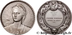 III REPUBLIC Médaille, Sénat, Membre du Sénat AU