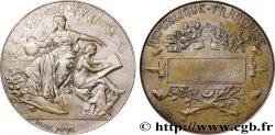 III REPUBLIC Médaille, Chambres des députés