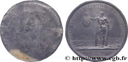 LOUIS XIV THE SUN KING Médaille, Prise de Mons, tirage uniface du revers