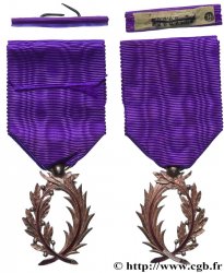 TROISIÈME RÉPUBLIQUE Ordre des Palmes académiques, Chevalier