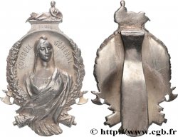 VILLES ET MAIRIES Insigne de fonction, Conseil Général de la Seine XF