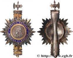 VILLES ET MAIRIES Insigne de fonction, Conseil général de Meurthe et Moselle AU