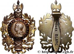 ALGÉRIE - TROISIÈME RÉPUBLIQUE Insigne de fonction, Assemblées Algériennes AU/XF