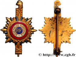 V REPUBLIC Insigne de fonction, Assemblée Nationale, miniature AU