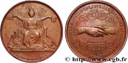 ASSURANCES Médaille, Société de secours mutuels des ouvriers-tanneurs de Château-Regnault