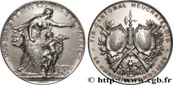 SWITZERLAND - CANTON OF NEUCHATEL Médaille, Tir Cantonal neuchâtelois AU