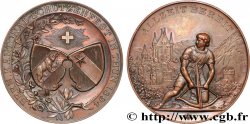 SWITZERLAND - HELVETIC CONFEDERATION Médaille, Festival de tir cantonal AU