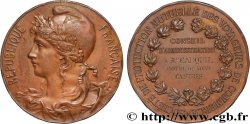 ASSURANCES Médaille, Société de protection mutuelle des voyageurs de commerce, Conseil d’administration
