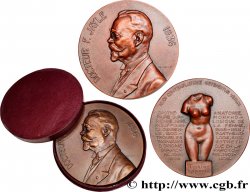 MÉDECINE - SOCIÉTÉS MÉDICALES - MÉDECINS/CHIRURGIENS - ASSISTANCE PUBLIQUE Médaille, Docteur Félix Jayle