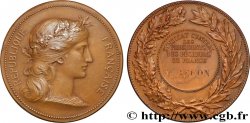 TROISIÈME RÉPUBLIQUE Médaille, Syndicat central des associations des pêcheurs de France