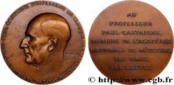 V REPUBLIC Médaille, Au professeur Paul Castaigne