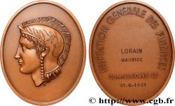 V REPUBLIC Médaille, Inspection générale des finances