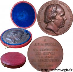SCIENCES & SCIENTIFIQUES Médaille, Jean-Baptiste Dumas