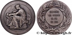TRANSPORTS (TRAINS, BUS, TRAMWAYS, BATEAUX...) Médaille, Compagnie des chemins de fer du midi TTB+