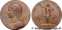 TROISIÈME RÉPUBLIQUE Médaille, Conseil des prud’hommes SUP