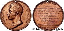 CHARLES X Médaille, Avènement de Charles X