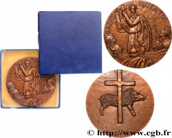 V REPUBLIC Médaille, Saint-Quentin MS