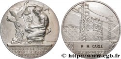 ENTREPRISES, INDUSTRIES ET COMMERCES DIVERS Médaille de mérite EDF/GDF, 25 années