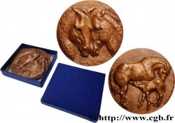 V REPUBLIC Médaille, Tendresse du cheval