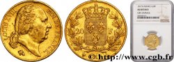 20 francs or Louis XVIII, tête nue 1817 Paris F.519/5
