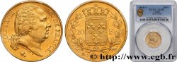 20 francs or Louis XVIII, tête nue 1819 Nantes F.519/17