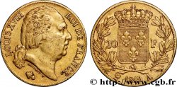 20 francs or Louis XVIII, tête nue 1819 Paris F.519/15