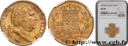 20 francs or Louis XVIII, tête nue 1818 Lille F.519/14