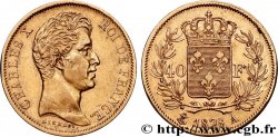 40 francs or Charles X, 2e type 1828 Paris F.544/3