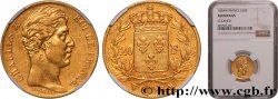20 francs or Charles X 1828 Lille F.521/4