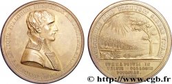 Médaille BR 45, Constitution de la République italienne à Lyon (refrappe) 1802 - Ess.954 var.