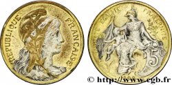 5 centimes Daniel-Dupuis, doré et argenté 1898  F.119/5 var.