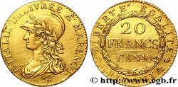 20 francs or Marengo 1802 Turin VG.842