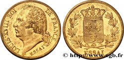 Essai de 5 centimes en cuivre jaune (?), sans indication de la valeur faciale n.d. Paris VG.2535  var. SUP58