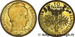 Concours de 10 francs, essai de Bazor en bronze-aluminium 1929 Paris VG.5226 var.